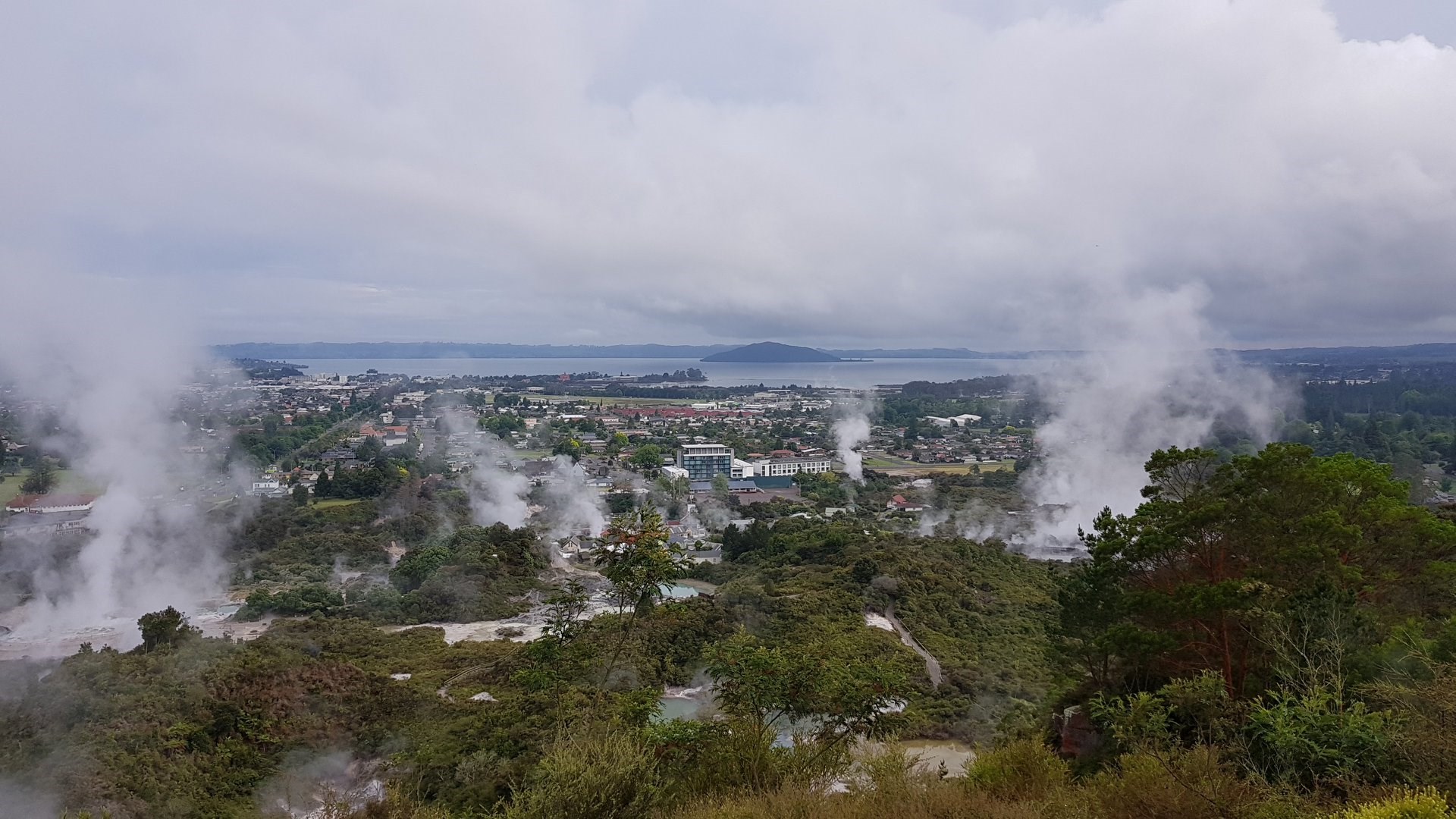 Tour tham quan Làng nhiệt Whakarewarewa 