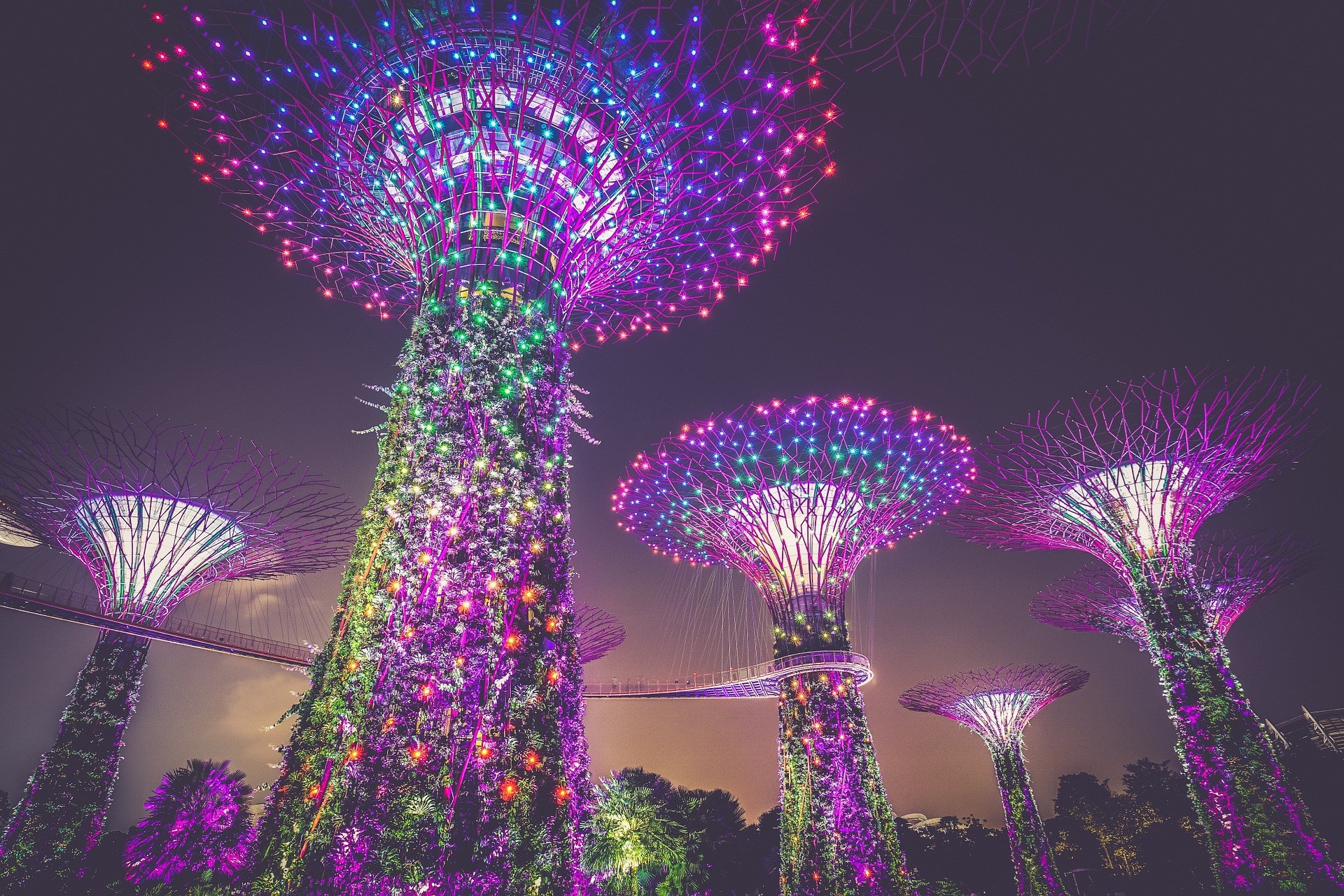 Tour tham quan Singapore vào buổi tối