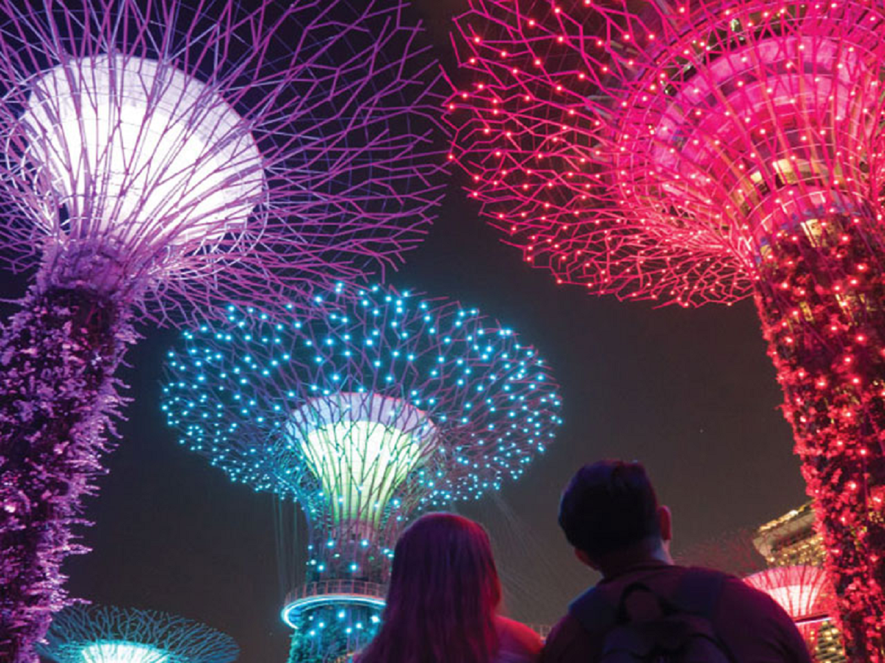 Tour tham quan Singapore vào buổi tối
