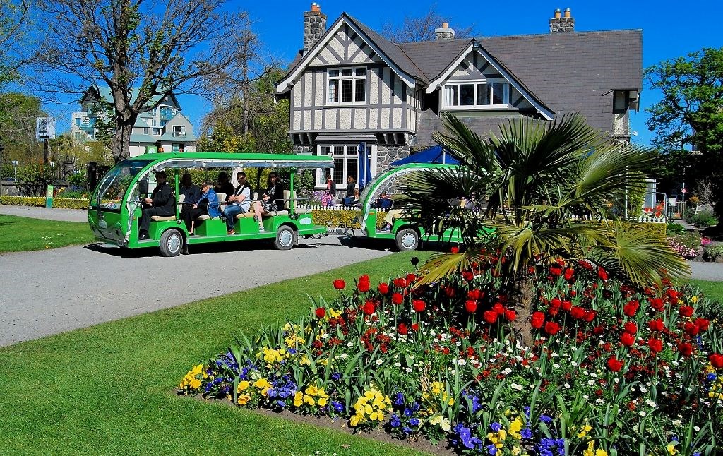Tour tham quan vườn bách thảo Christchurch