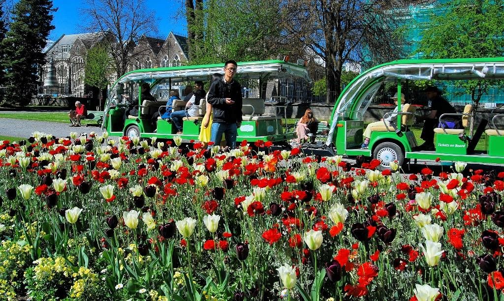 Tour tham quan vườn bách thảo Christchurch