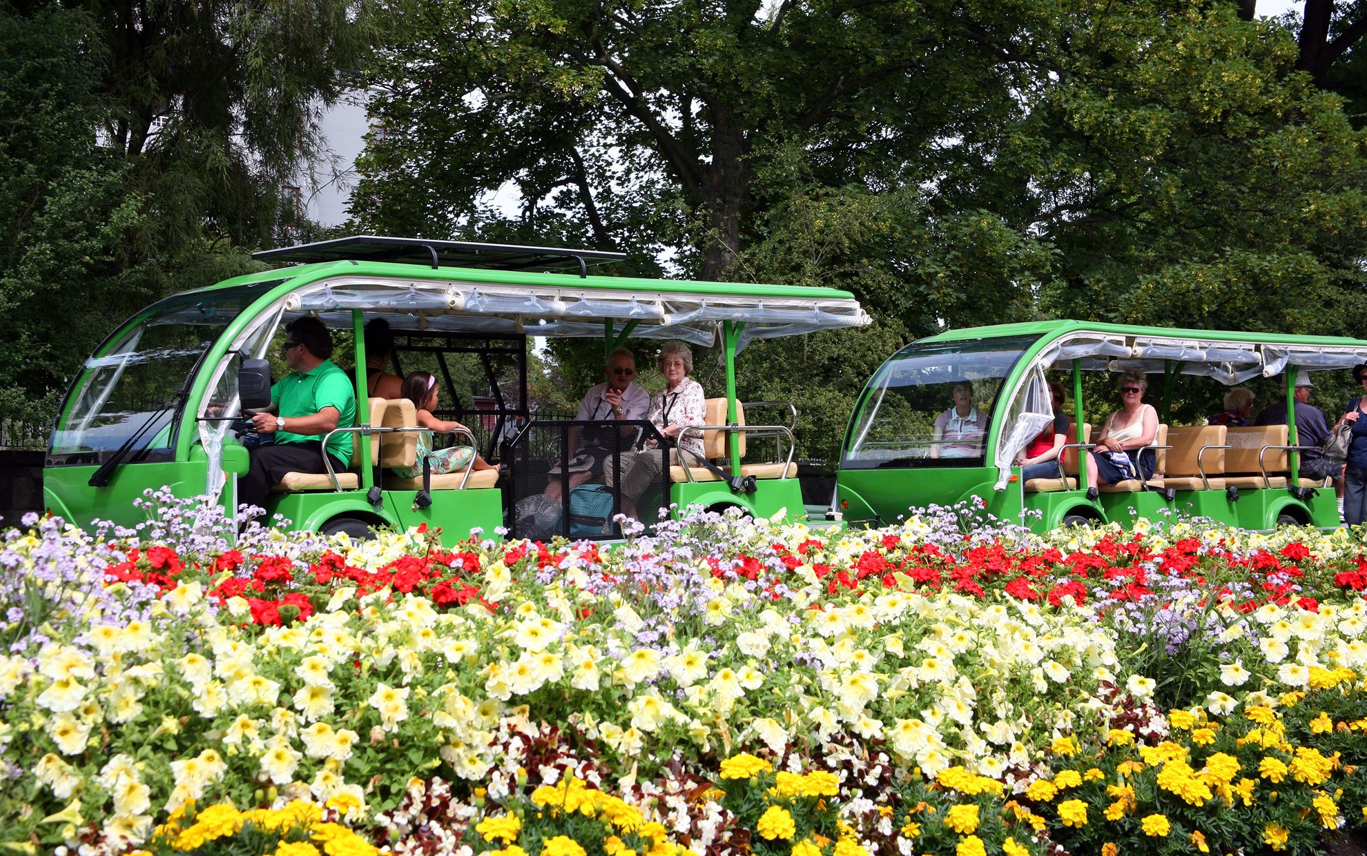 Tour tham quan vườn bách thảo Christchurch
