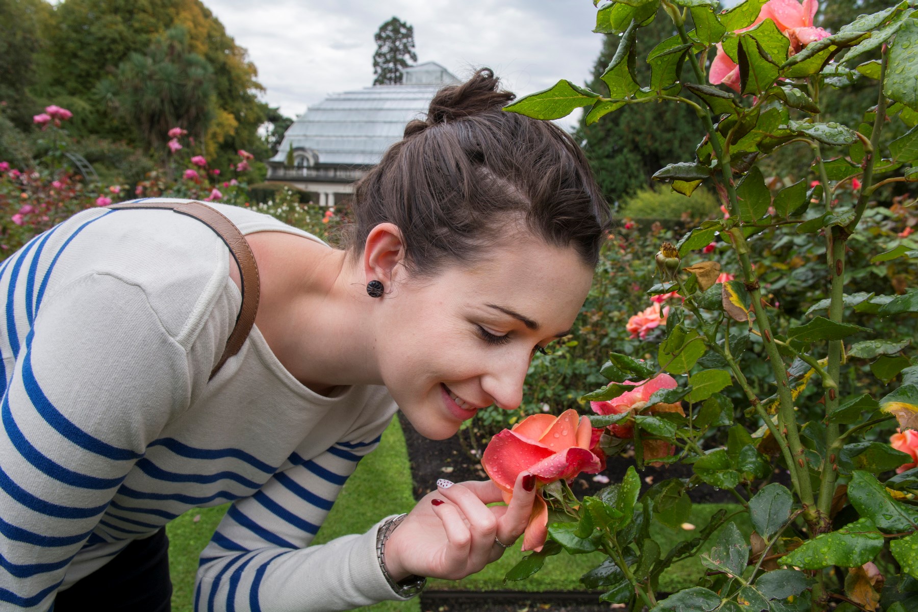 Tour tham quan vườn bách thảo Christchurch