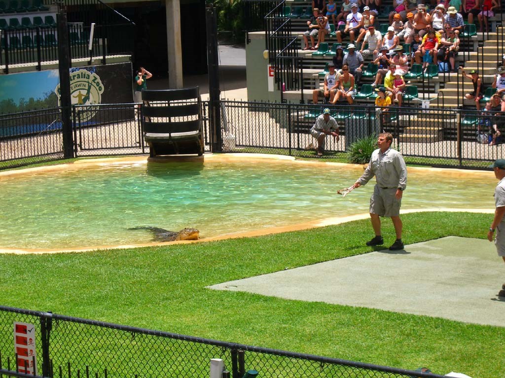 Tour tham quan vườn thú Australia, khởi hành từ Gold Coast