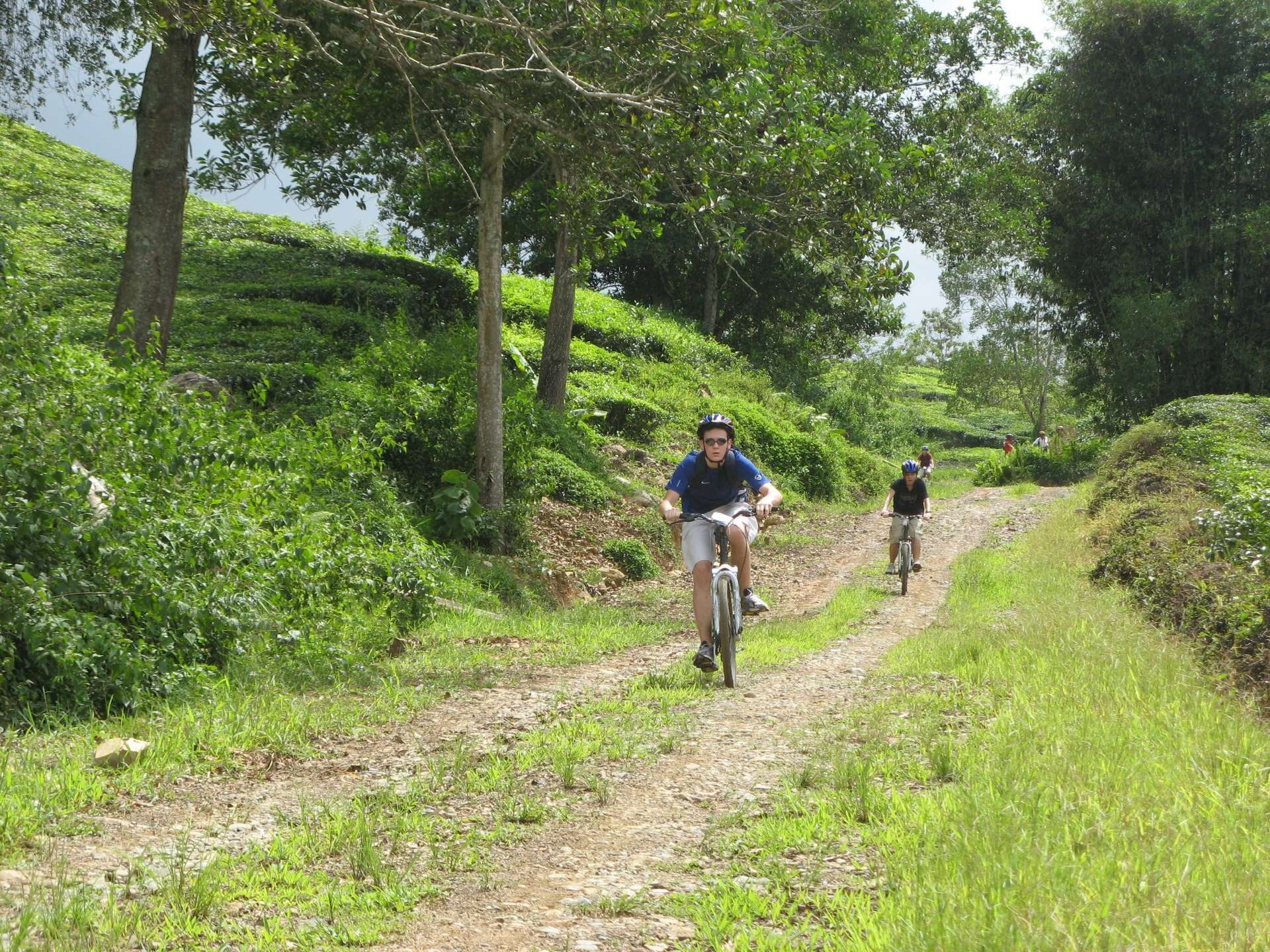 Tour xe đạp tại Pulau Ubin