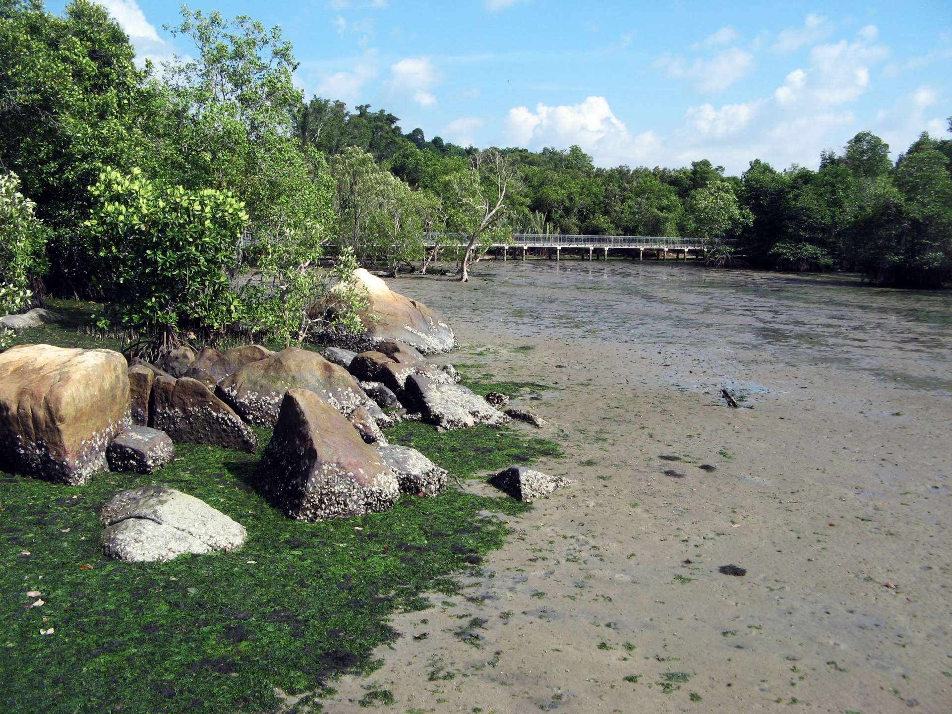 Tour xe đạp tại Pulau Ubin