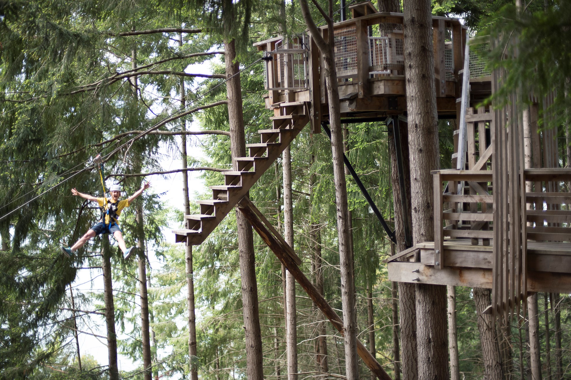 Trượt Zipline ở Queentown