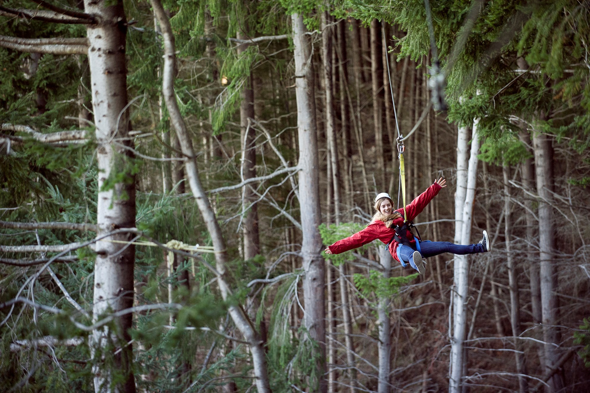 Trượt Zipline ở Queentown