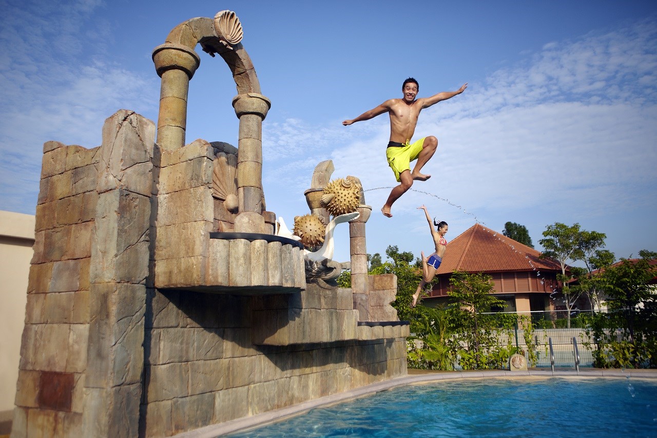 Vé Tham quan Công viên Nước Adventure Cove có Đưa đón một chiều