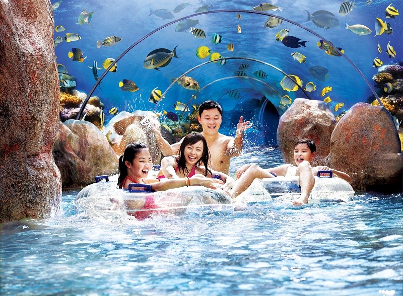 Vé Tham quan Công viên Nước Adventure Cove có Đưa đón một chiều
