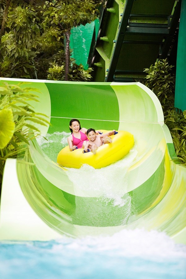 Vé Tham quan Công viên Nước Adventure Cove có Đưa đón một chiều