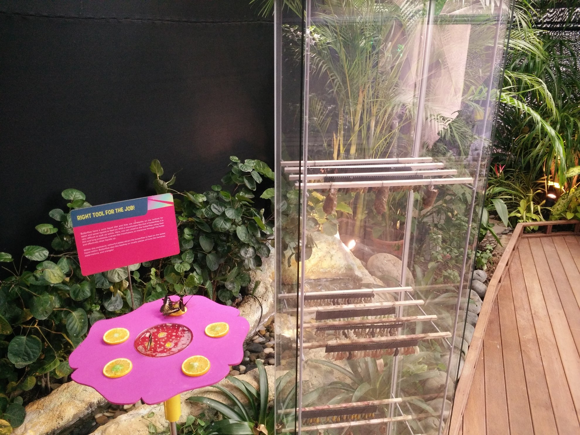 Vé tham quan Science Centre Singapore