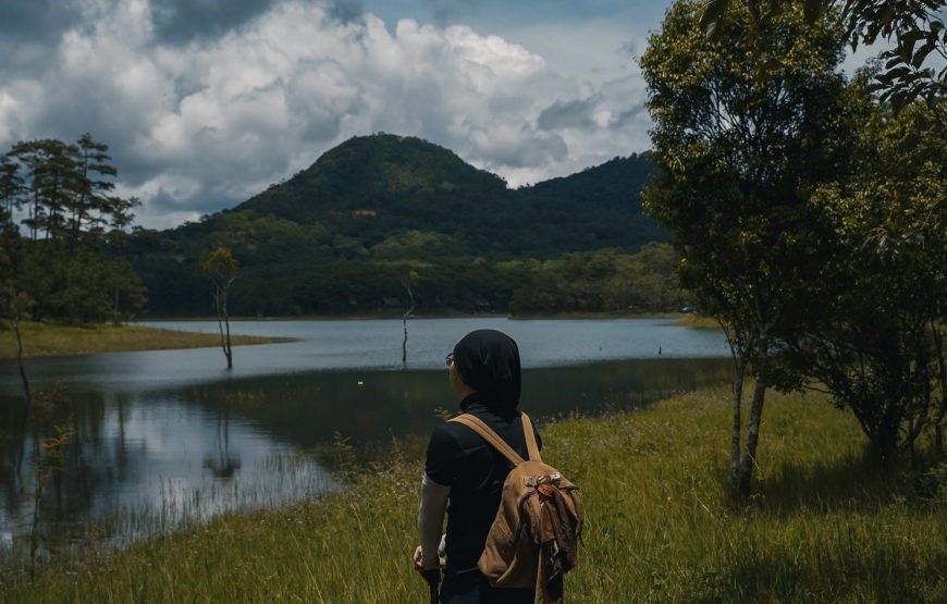 Details