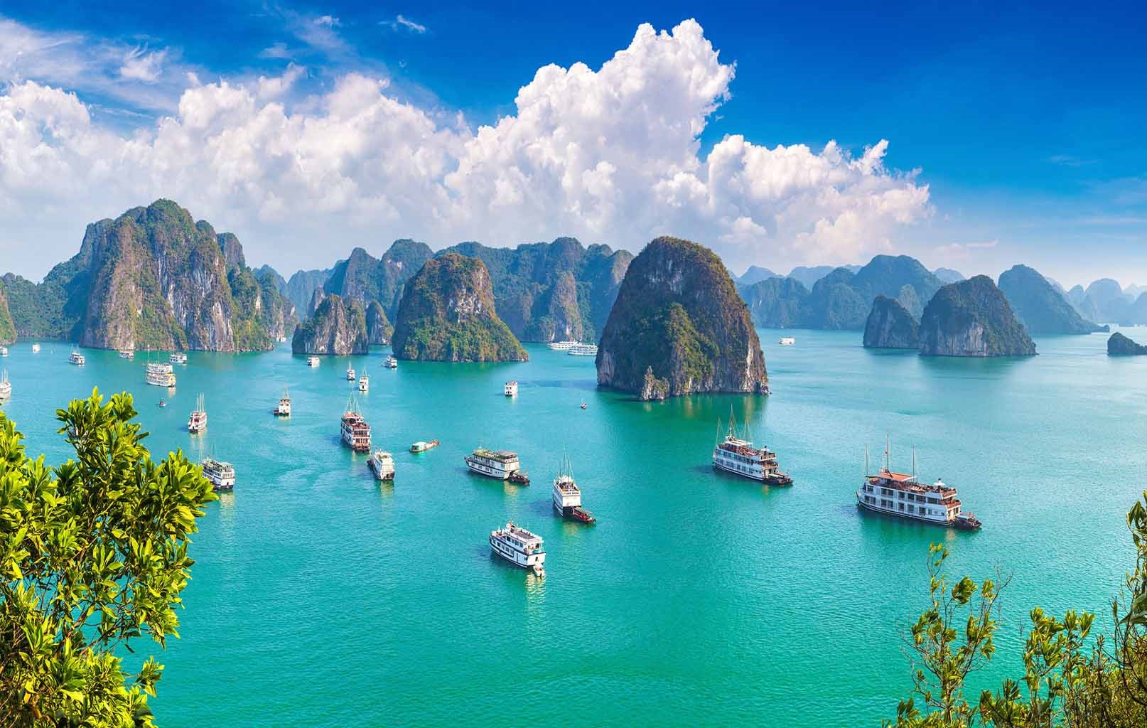 Hình đại điện của danh mục Quảng Ninh